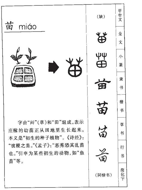 苗字意思|苗的意思,苗的解释,苗的拼音,苗的部首,苗的笔顺